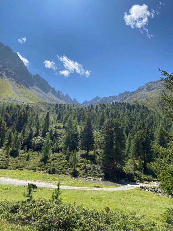 Apart Wiesenplatzl Kaunertal Ngoại thất bức ảnh