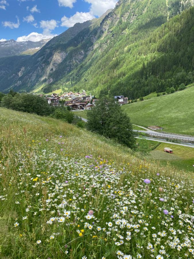 Apart Wiesenplatzl Kaunertal Ngoại thất bức ảnh