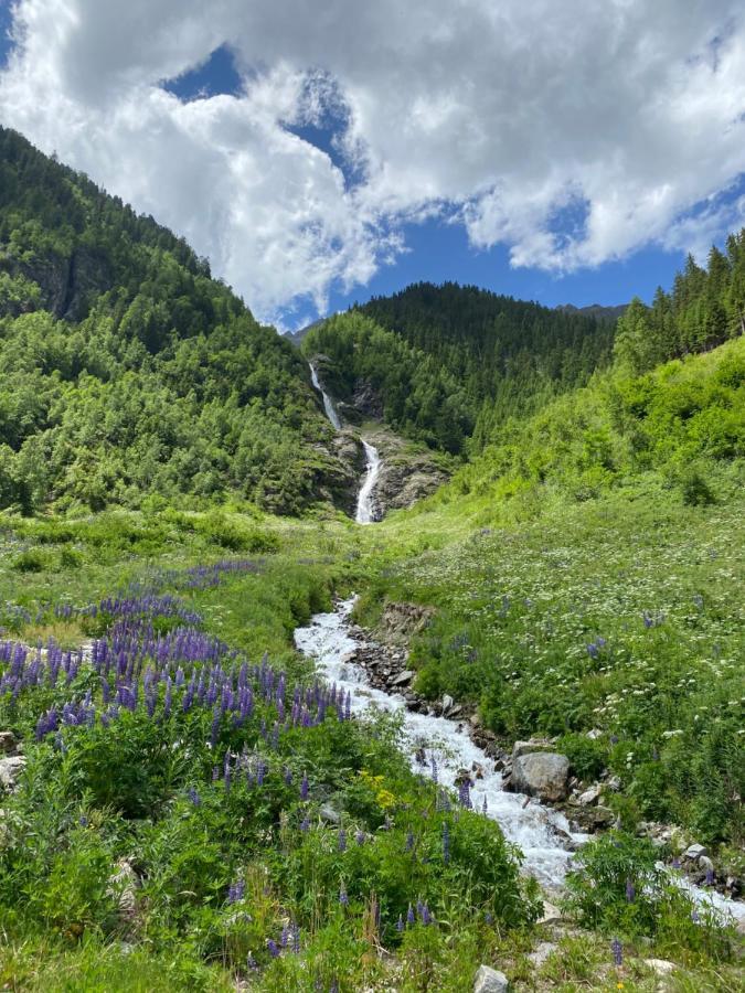 Apart Wiesenplatzl Kaunertal Ngoại thất bức ảnh
